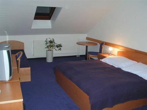 Hotel Hejtman Πράγα Δωμάτιο φωτογραφία